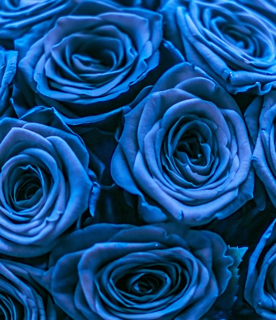 Zdjęcie glamour luksusowy bukiet kwiatów niebieskich róż w rozkwicie jako kwiatowy tło wakacje
