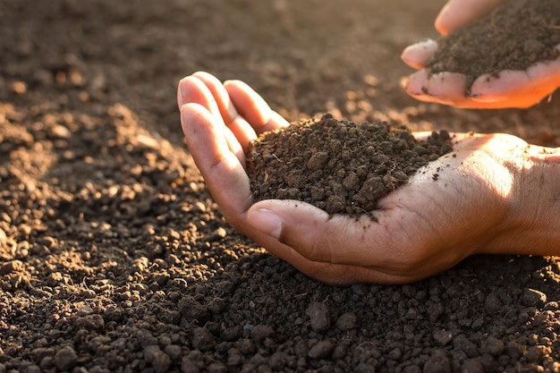 Gleba gliniasta do uprawy w rękach mężczyzn
