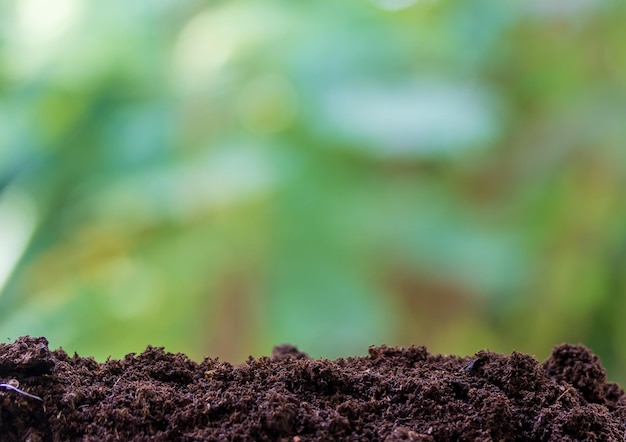 Gleba i tło naturalne