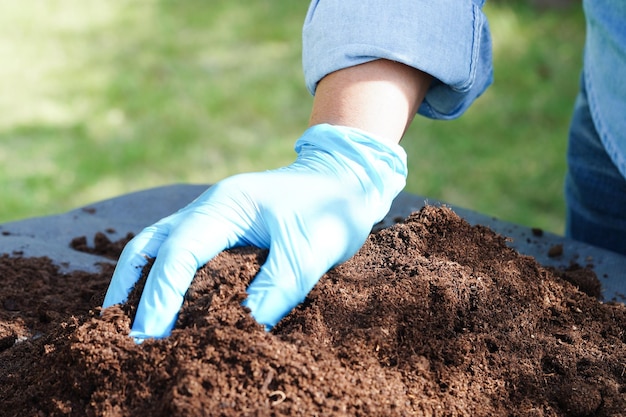 Gleba nawozowa z mchu torfowego dla rolnictwa ekologicznego koncepcja ekologii uprawy roślin