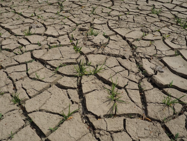 Głębokie pęknięcia w ziemi jako symbol gorącego klimatu i suszy Pustynia i popękana ziemia Nierówny spuchnięty grunt Pustka i śmierć Ekologiczny i naturalny motyw