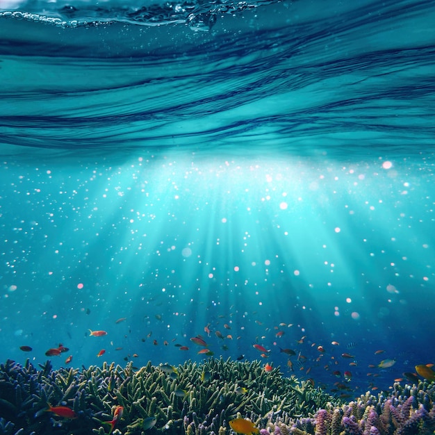 Głębokie podwodne abstrakcyjne tło morskich Spokojny widok