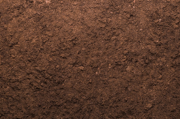Zdjęcie glebowy tekstury tło dla ogrodnictwa pojęcia