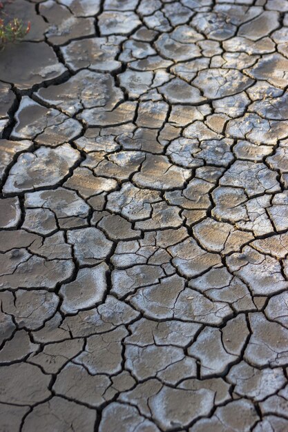 Gleby brunatne popękane na skutek suszy. Tekstura. Tło