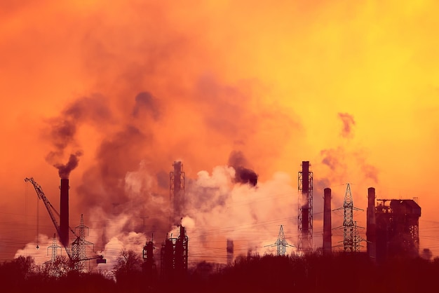 globalne ocieplenie roślina pejzaż zachód słońca pomarańczowy ekologia problem