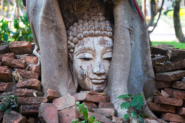 Głowa Buddy W Figowcu W Miejscu Archeologicznym Północnej Tajlandii, Tradycja Tajska Sztuka