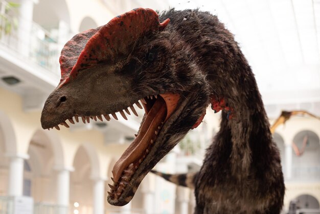 Głowa Dilophosaurus Predator Z Otwartymi Ustami Pełnymi Ostrych Zębów