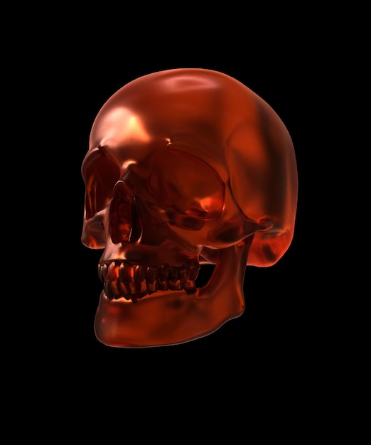 Zdjęcie głowa ludzkiej czaszki 3d z wieloma teksturami