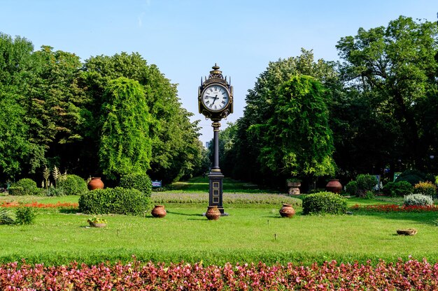 Zdjęcie główne wejście z kwiatami i drzewami w słoneczny letni dzień w ogrodzie cismigiu w bukareszcie w rumunii
