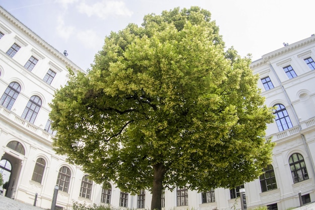 Główny dziedziniec Uniwersytetu Graz Karl Franzens