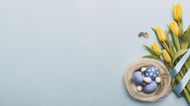 gniazdo z kolorowymi jajkami w pobliżu tulipanów wysokiej jakości piękna koncepcja zdjęć