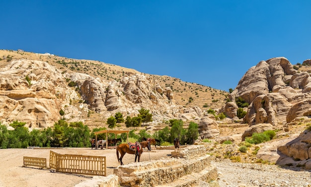 Godziny odpoczynku beduinów w starożytnym mieście Petra w Jordanii