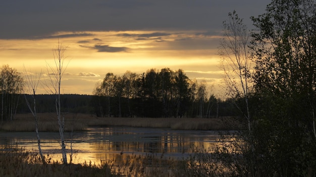 Zdjęcie golden sunset