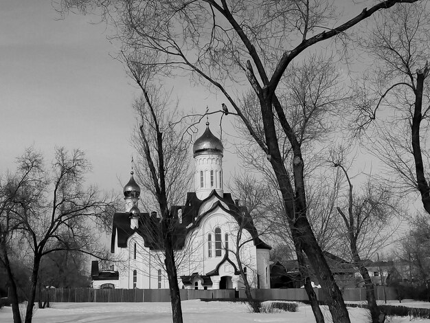 Zdjęcie gołe drzewa i kościół na tle nieba w zimie