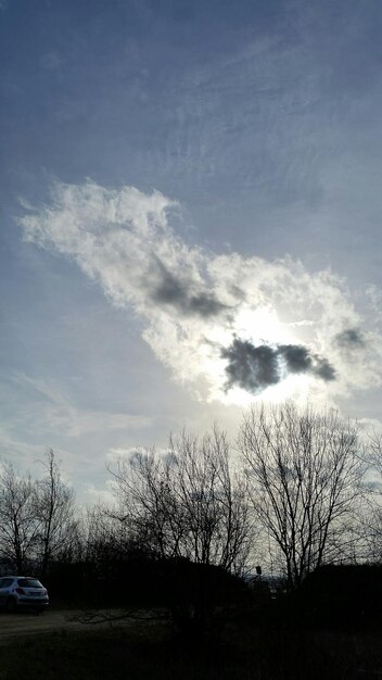 Zdjęcie gołe drzewa na chmurnym niebie