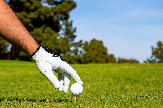 Golfista kładzie piłkę golfową na zielonym polu golfowym Golfista z rękawicą golfową