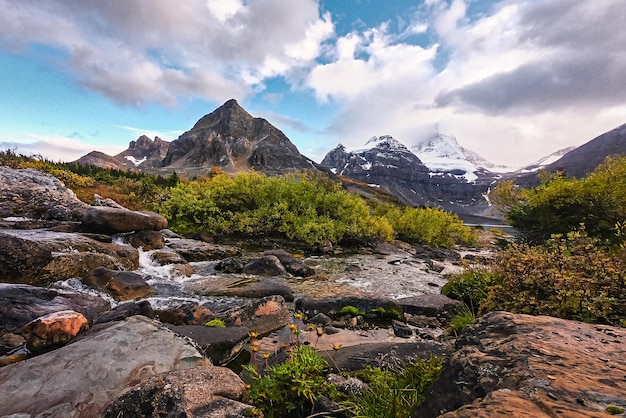 Góra Assiniboine Na Strumieniu Płynącym W Jesiennym Polu W Provincial Park Alberta Canada