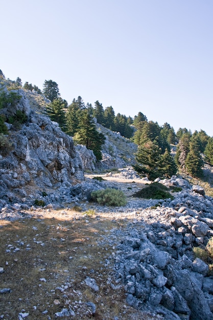 Góra Enos - Kefalonia, Grecja