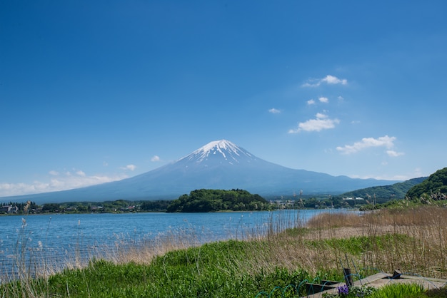 Góra Fuji i jezioro Kawaguchiko