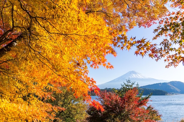 Góra Fuji jesienią