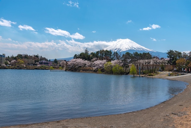 Góra Fuji Mt Fuji Nad Błękitnym Niebem W Słoneczny Dzień Jezioro Kawaguchiko Miasto Fujikawaguchiko Yamanashi Pref