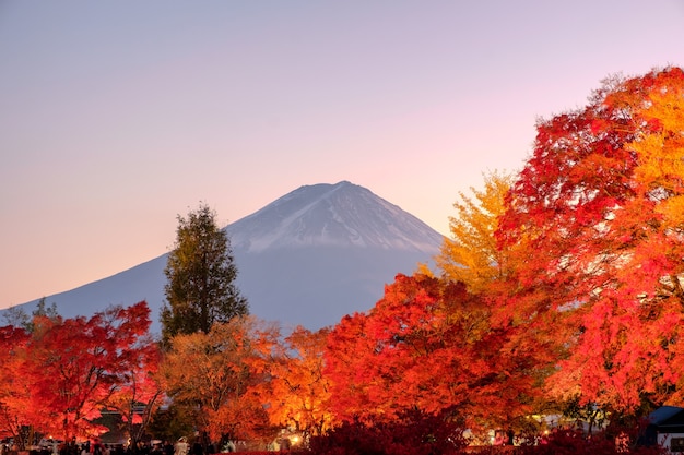 Góra Fuji nad klonowym festiwalem ogrodowym w sezonie jesiennym o zmierzchu