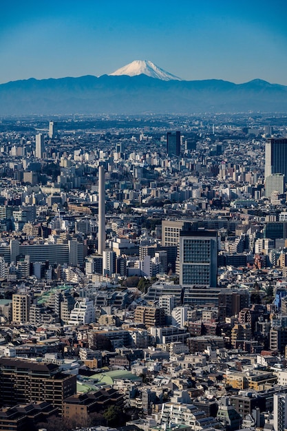 Góra Fuji nad Tokio