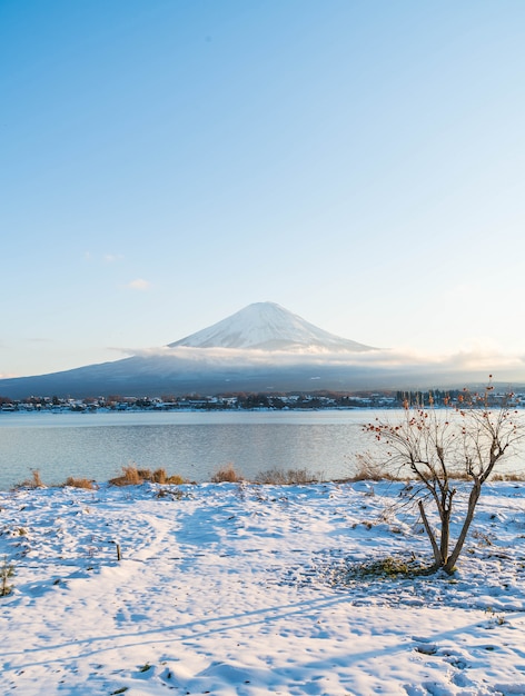 Góra Fuji San W Kawaguchiko Lake.