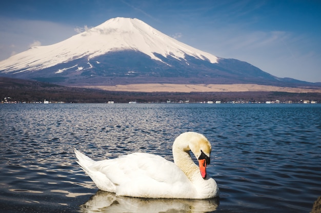 Góra Fuji w Japonii