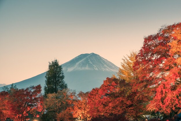 Góra Fuji w ogrodzie klonowym wieczorem