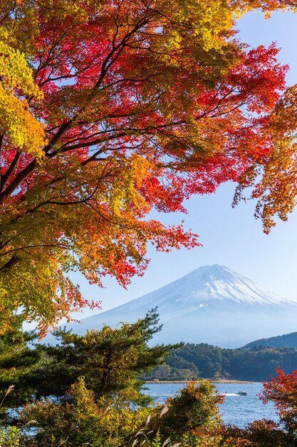 Zdjęcie góra fujisan jesienią