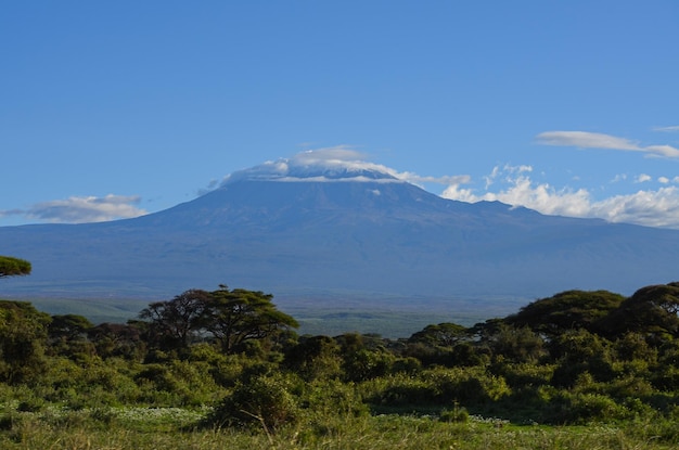 Góra Kilimandżaro pokryta śniegiem Park Narodowy Amboseli Kenia Afryka