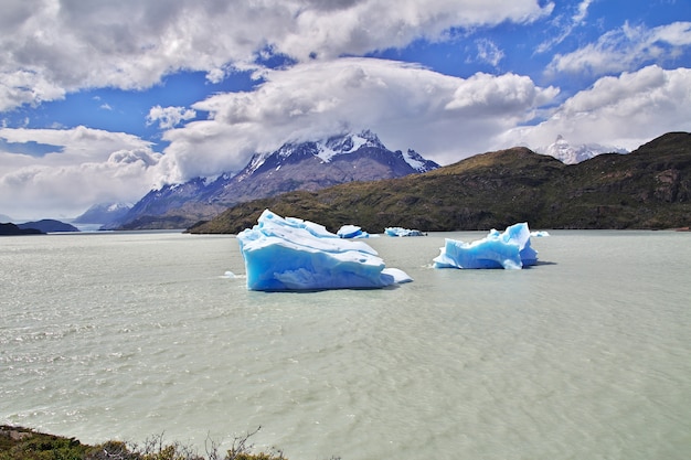 Góra Lodowa Nad Lago Grey, Park Narodowy Torres Del Paine, Patagonia, Chile