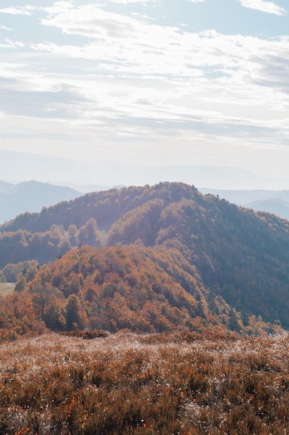 Zdjęcie góra rachów karpaty piękne wzgórze jesień w karpatach