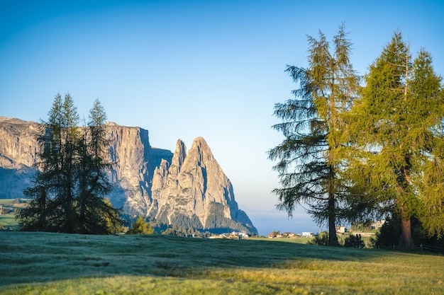 Góra Seiser Alm i Schlern z poranną mgłą nad lasem Dolomity Alpy Włochy