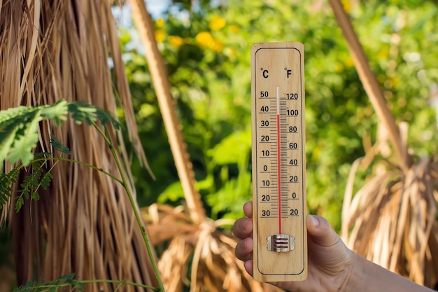 Zdjęcie gorąca pogoda termometr w ręku przed suchymi roślinami podczas fali upałów koncepcja wysokiej temperatury i meteorologii