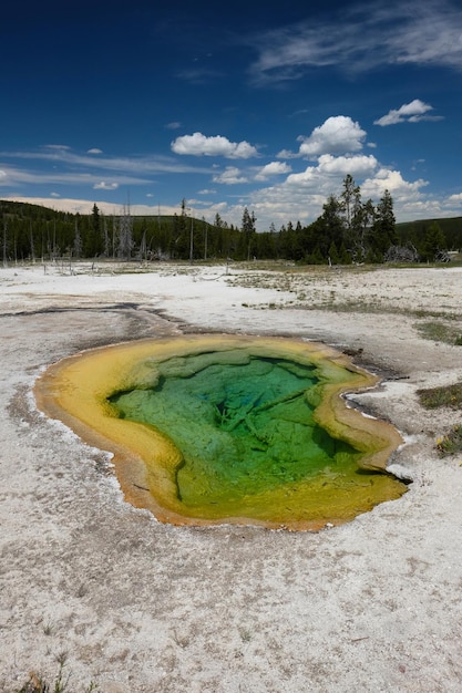 Zdjęcie gorące źródło termalne w yellowstone