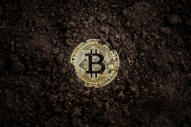 Górnicze Złote Bitcoiny. Błyszczący Złoty Bitcoin W Ziemi.
