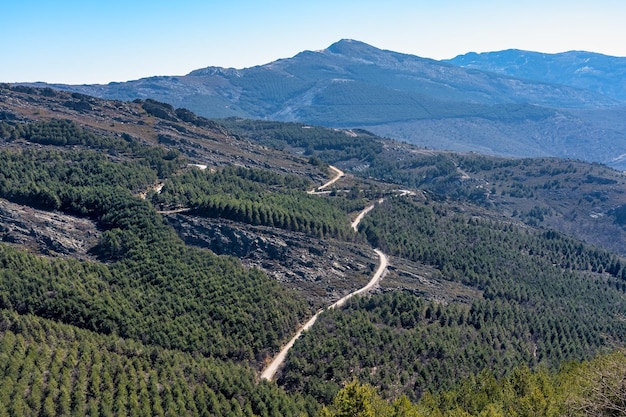 Górska droga biegnąca między dolinami i lasami sosnowymi Sierra del Rincon Madryt