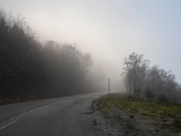 Górska droga, mgła i chmury w lesie w górach Dirfys na wyspie Evia, Grecja