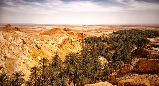 Zdjęcie górska oaza chebika, sahara, tunezja, afryka