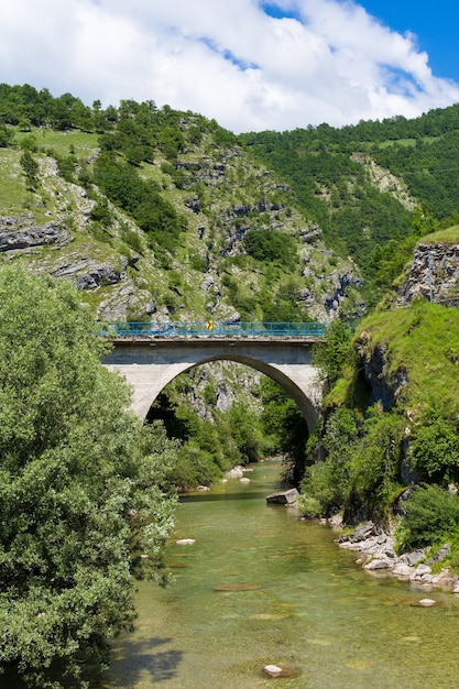 Górska rzeka i most oraz drzewa krajobrazowe środowisko naturalne. Savnik Czarnogóra