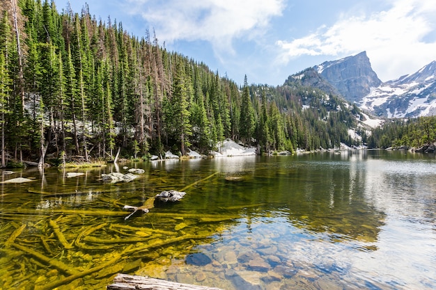 Zdjęcie górska rzeka i wiecznie zielony las z każdej strony w estes park, kolorado us