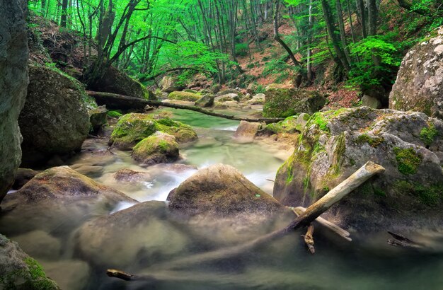 Górska rzeka na wiosnę. Strumień wody w terenie leśnym i górskim