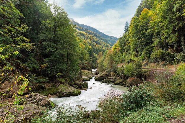 Górska rzeka Savoie region Francja