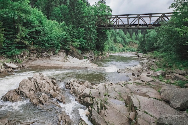 Górska rzeka w Karpatach na Ukrainie z ostrymi niebezpiecznymi skałami