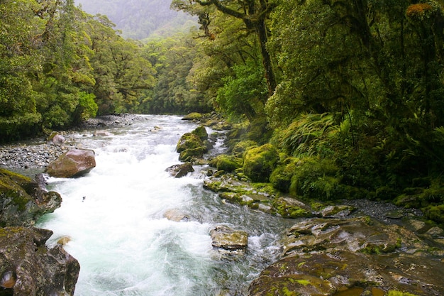 Górska Rzeka Wyspa Południowa Nowa Zelandia