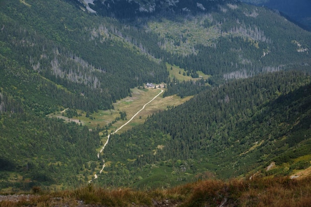 Górska scena z drogą i drzewami