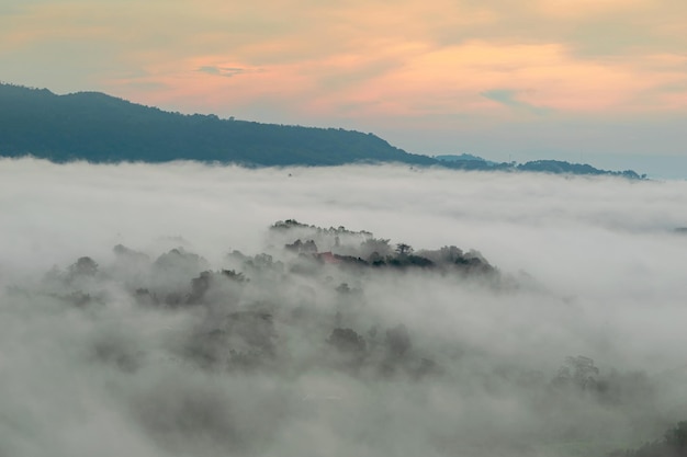 Górska sceneria z mgłą Phetchabun Tajlandia