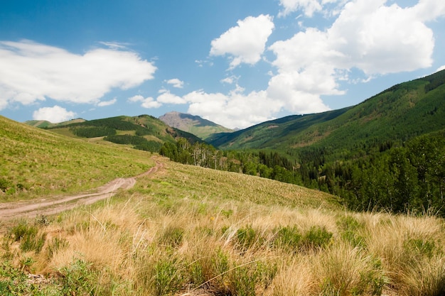 Górska ścieżka w Crested Butte w stanie Kolorado